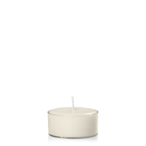Ivory Tealight, Pack of 24