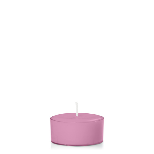 Rose Pink Tealight, Pack of 24