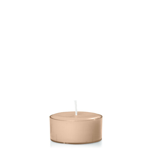 Toffee Tealight, Pack of 24