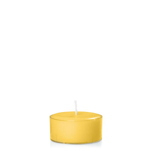 Yellow Tealight, Pack of 24