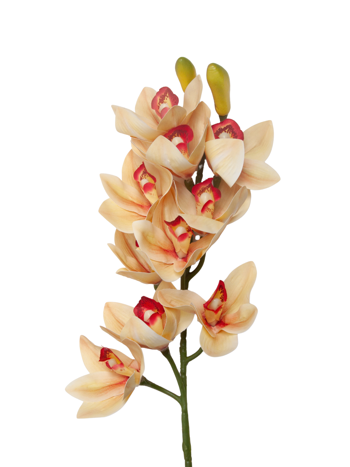 Yellow Cymbidium Orchid - 74cm