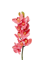 Pink Cymbidium Orchid - 74cm