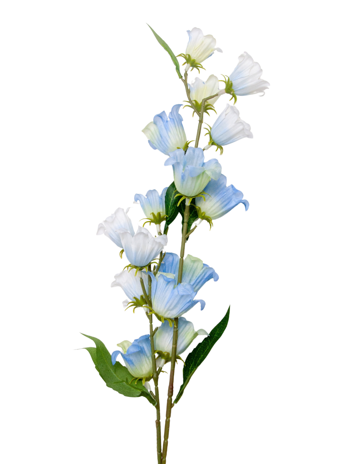 Blue Lily of the Valley - 85cm