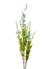 Blue Sage - 85cm