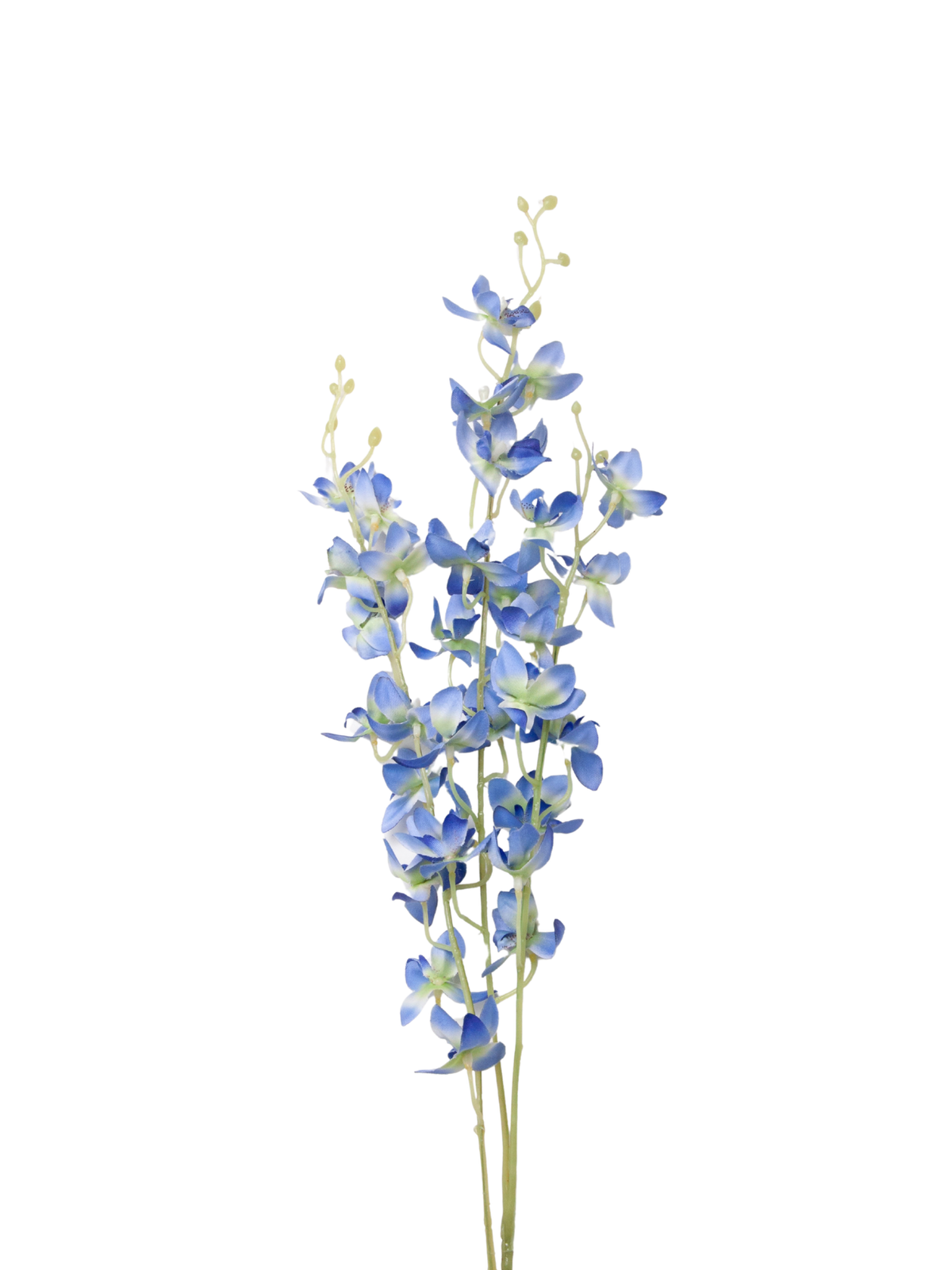 Blue Dendrobium Orchid - 96cm
