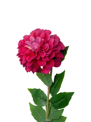 Berry Dahlia - 58cm