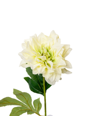 Light Green Dahlia - 59cm