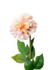 Blush Pink Dahlia - 58cm