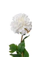 White Dahlia - 58cm