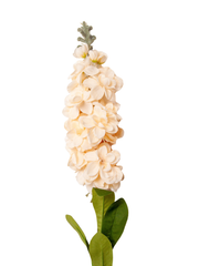 Apricot Snapdragons - 85cm