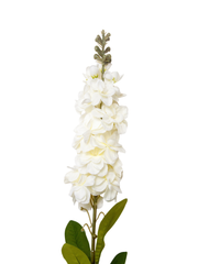 White Snapdragons - 85cm