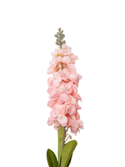 Pink Snapdragons - 85cm