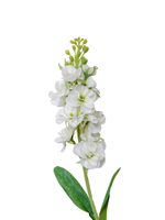 White Snapdragons - 51cm