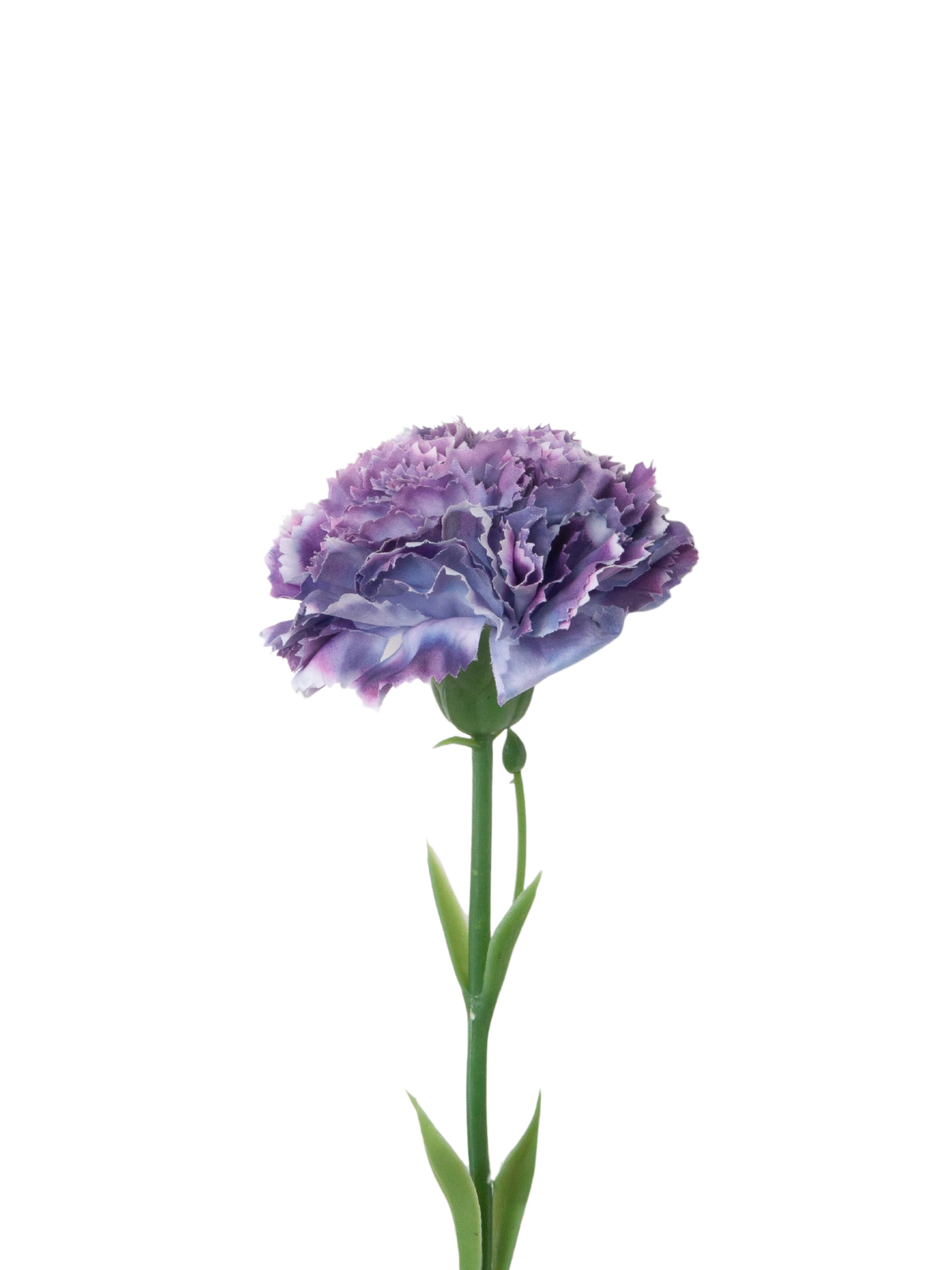 Purple Carnation - 30cm