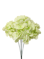 Light Green Hydrangea - 45cm
