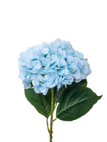 Light Blue Hydrangea - 69cm