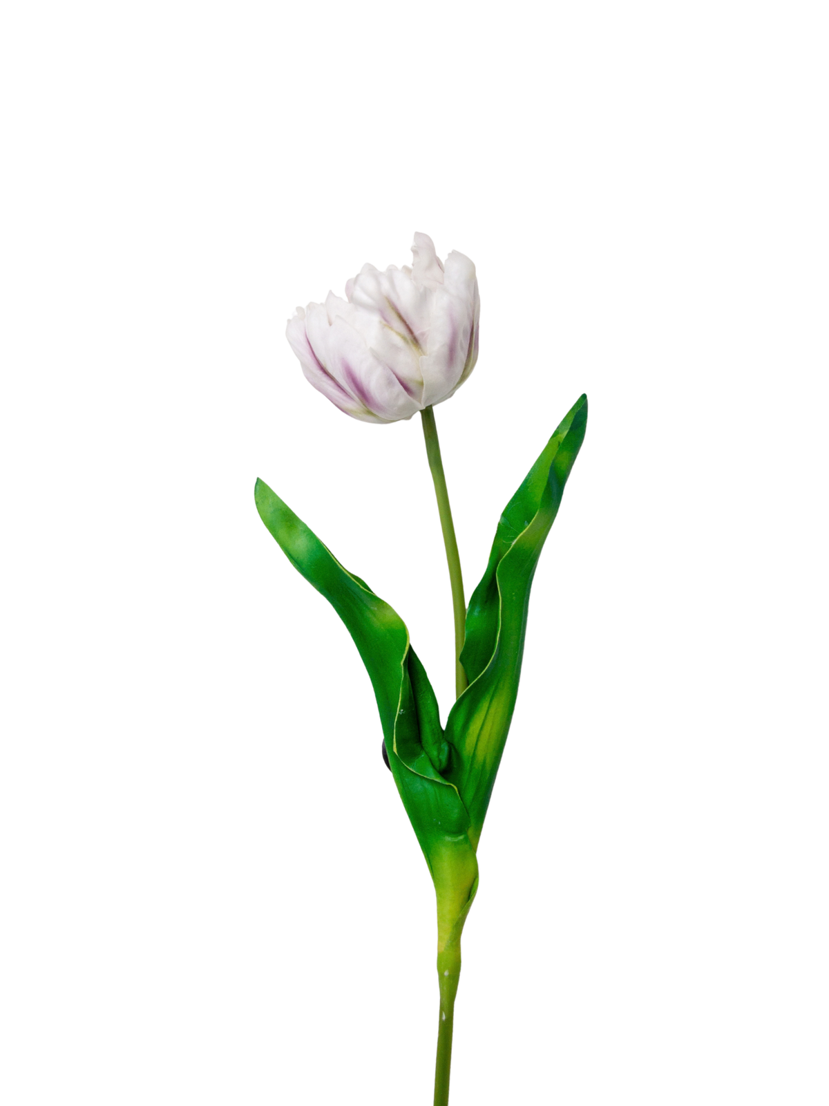 Purple Tulip - 62cm