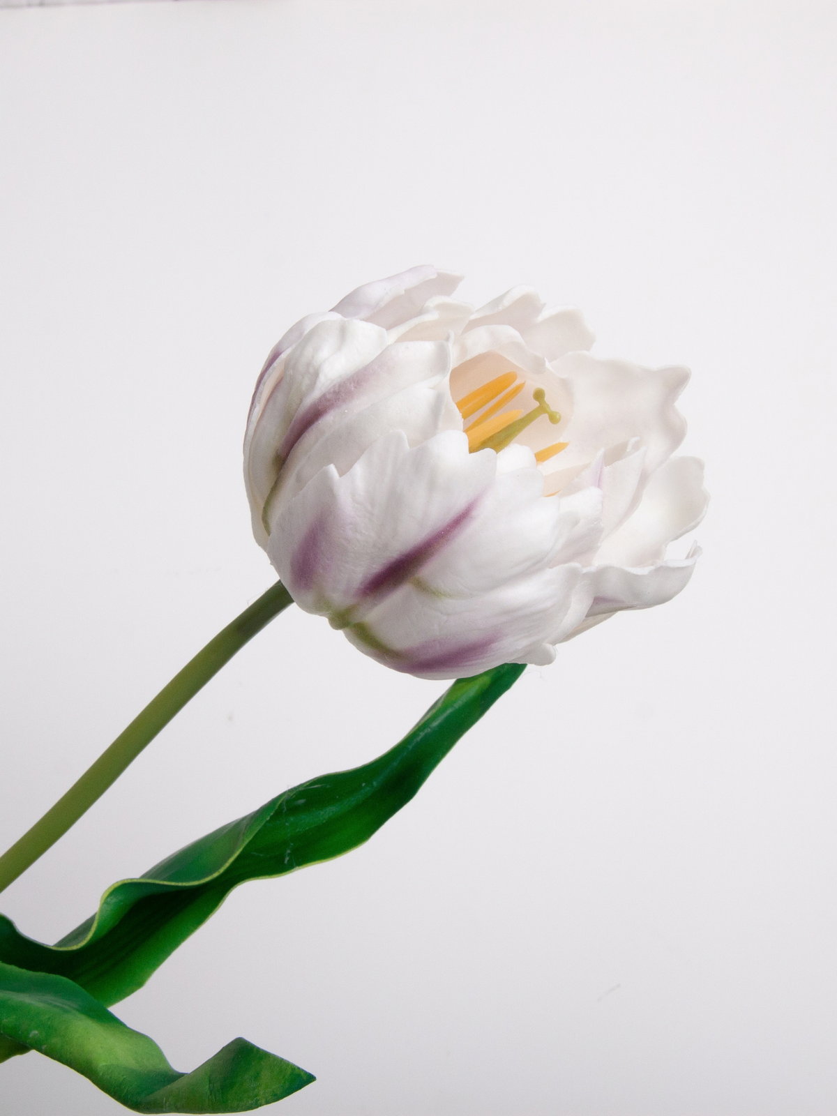 Purple Tulip - 62cm