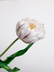 Purple Tulip - 62cm