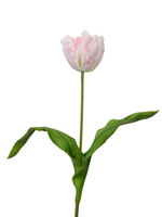 Pink Tulip - 62cm