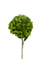 Green Hydrangea - 69cm