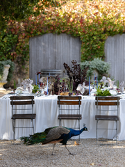Meringue Rectangle Tablecloth - Large