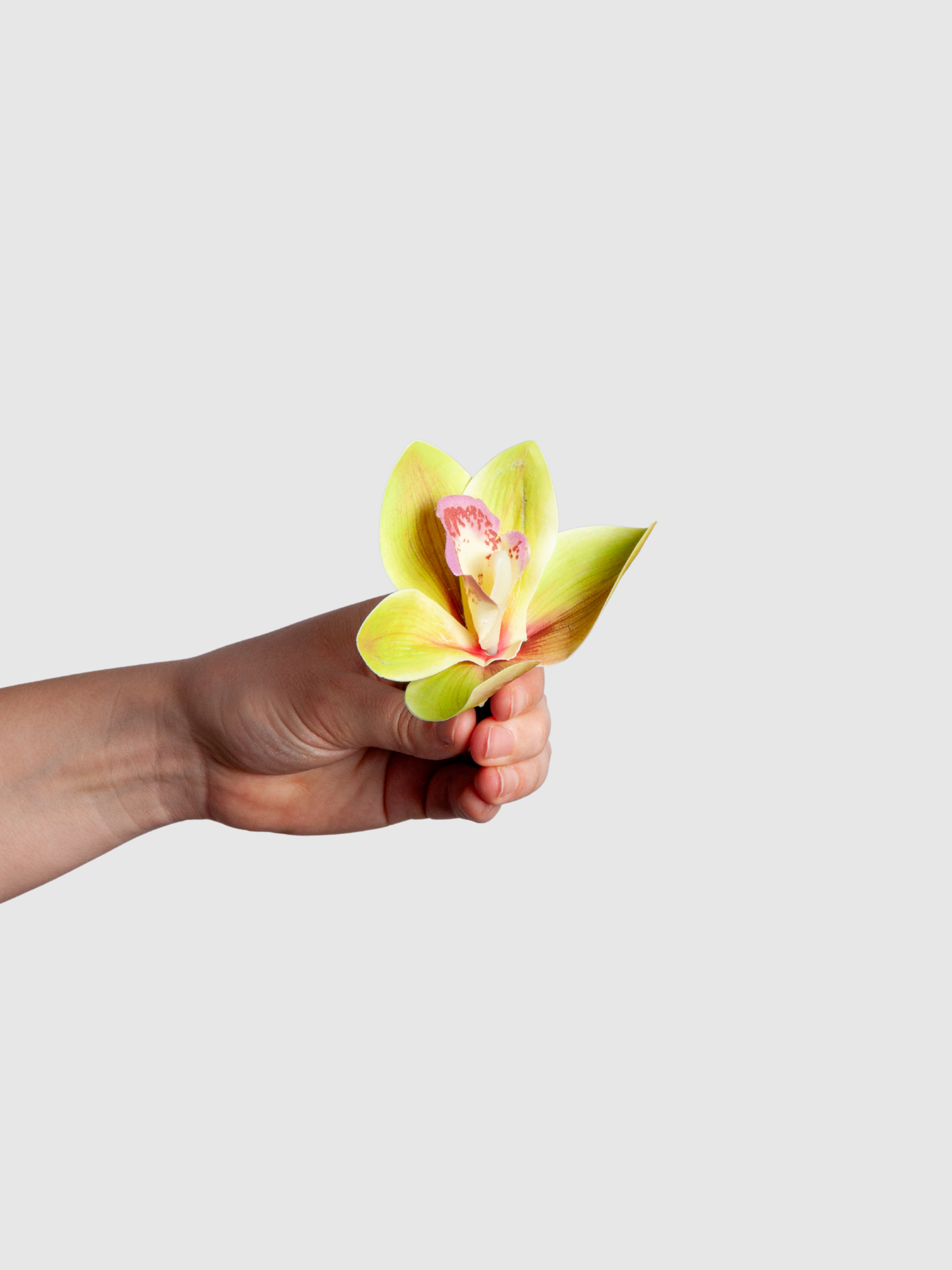 Cymbidium Orchid Buttonhole
