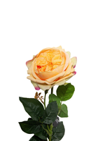 Orange Garden Rose - 67cm