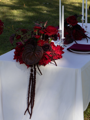Red Dahlia & Anthurium Cloud - Large