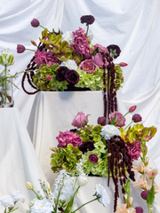 Pink Hydrangea & Burgundy Tulip Plinth - Medium