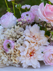 Pink Rose & Peony Cloud - Medium