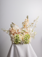 Apricot Snapdragon & White Orchid Cloud - Medium