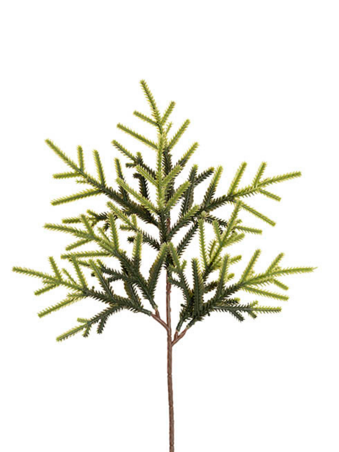Norway Spruce Pine Pick Green (36cmH) Pack of 1
