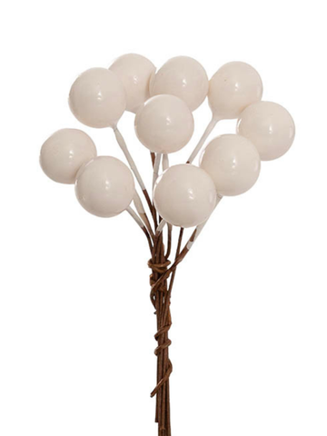 Mini Berry Picks Pack 24 White (1.2cmDx9cmH) Pack of 1