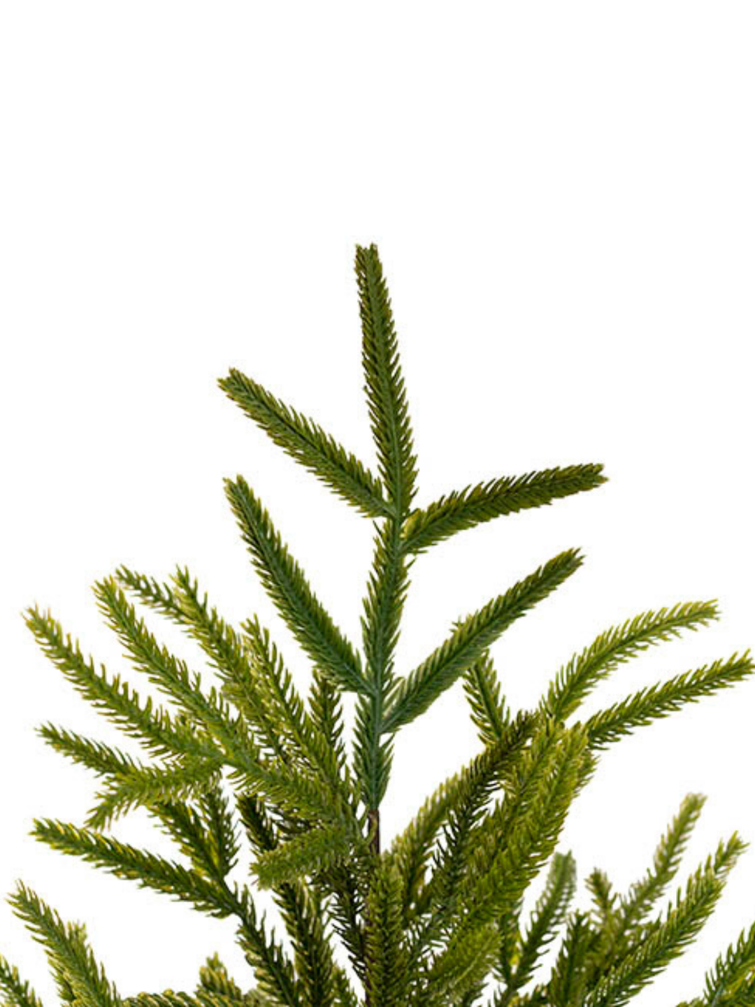 Real Touch Norway Spruce Pine Table Top Tree Green (60cmH) Pack of 1