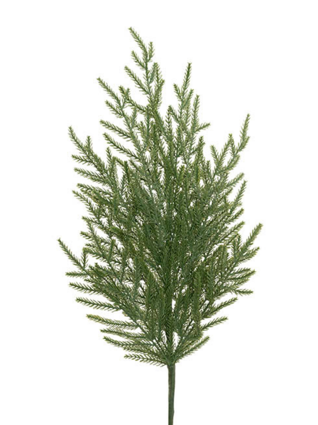 Norway Spruce Pine Spray Green (80cmH) Pack of 1