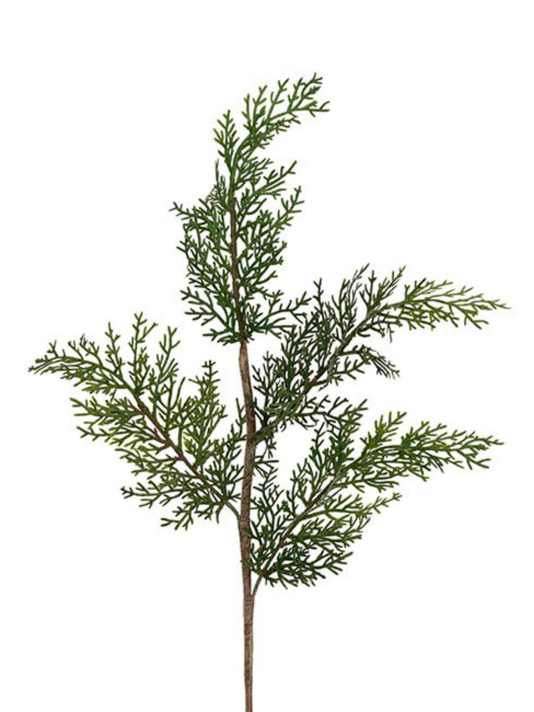 Cedar Pine Spray Green (47cmH) Pack of 1