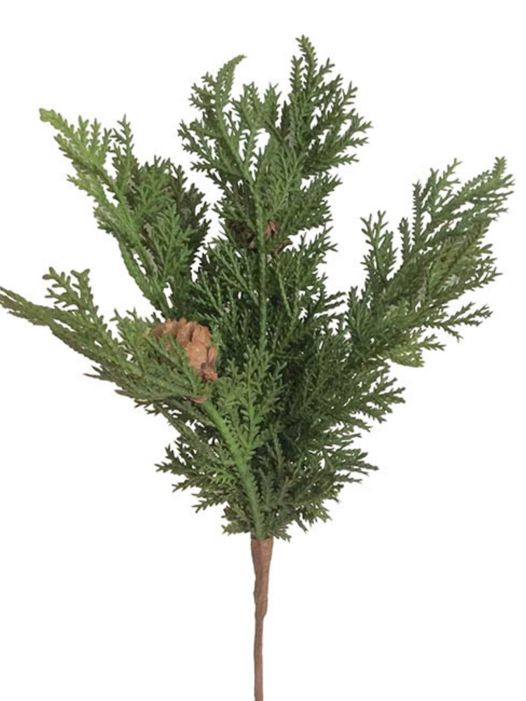 Cypress Pine Pick Green (28cmH) Pack of 1