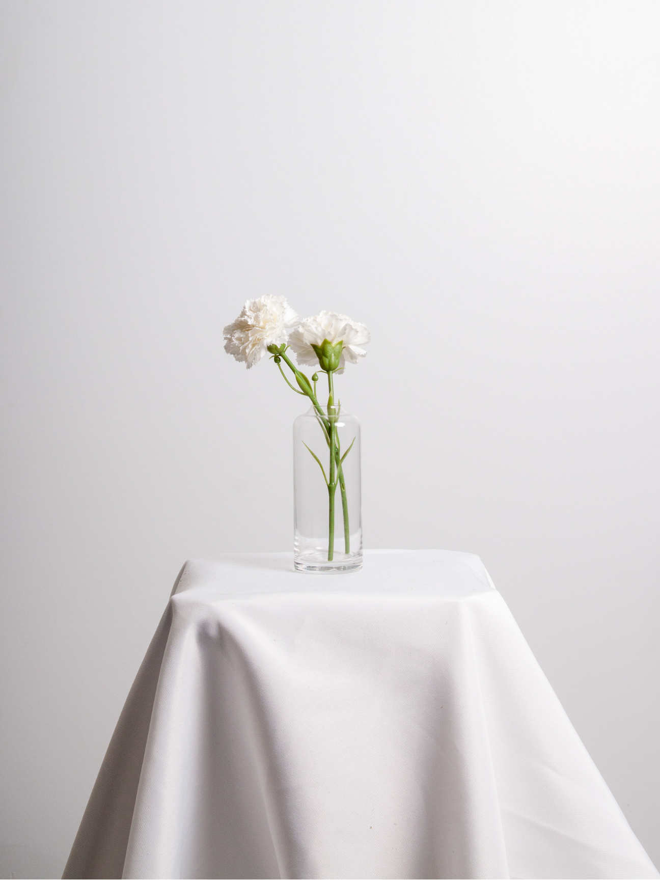 White Carnation Bud Vase - Medium