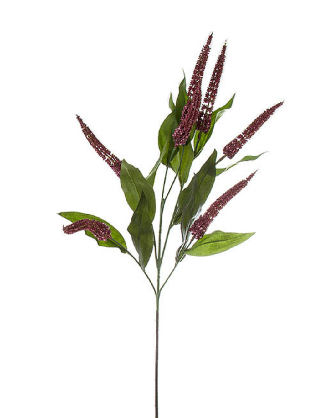 Burgundy Cascara Berry Spray Pack of 1