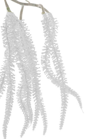 Draping Amaranthus Spray White (98cmH) Pack of 1