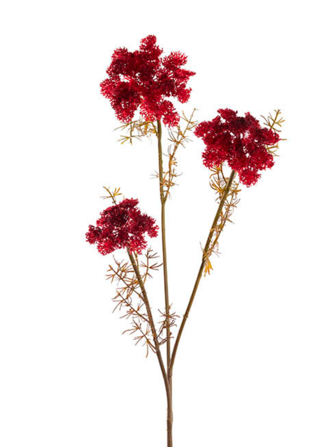 Lace Flower Spray Dark Red (73cmH) Pack of 1