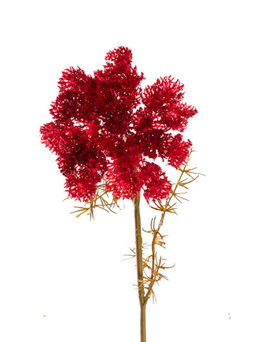 Lace Flower Spray Dark Red (73cmH) Pack of 1