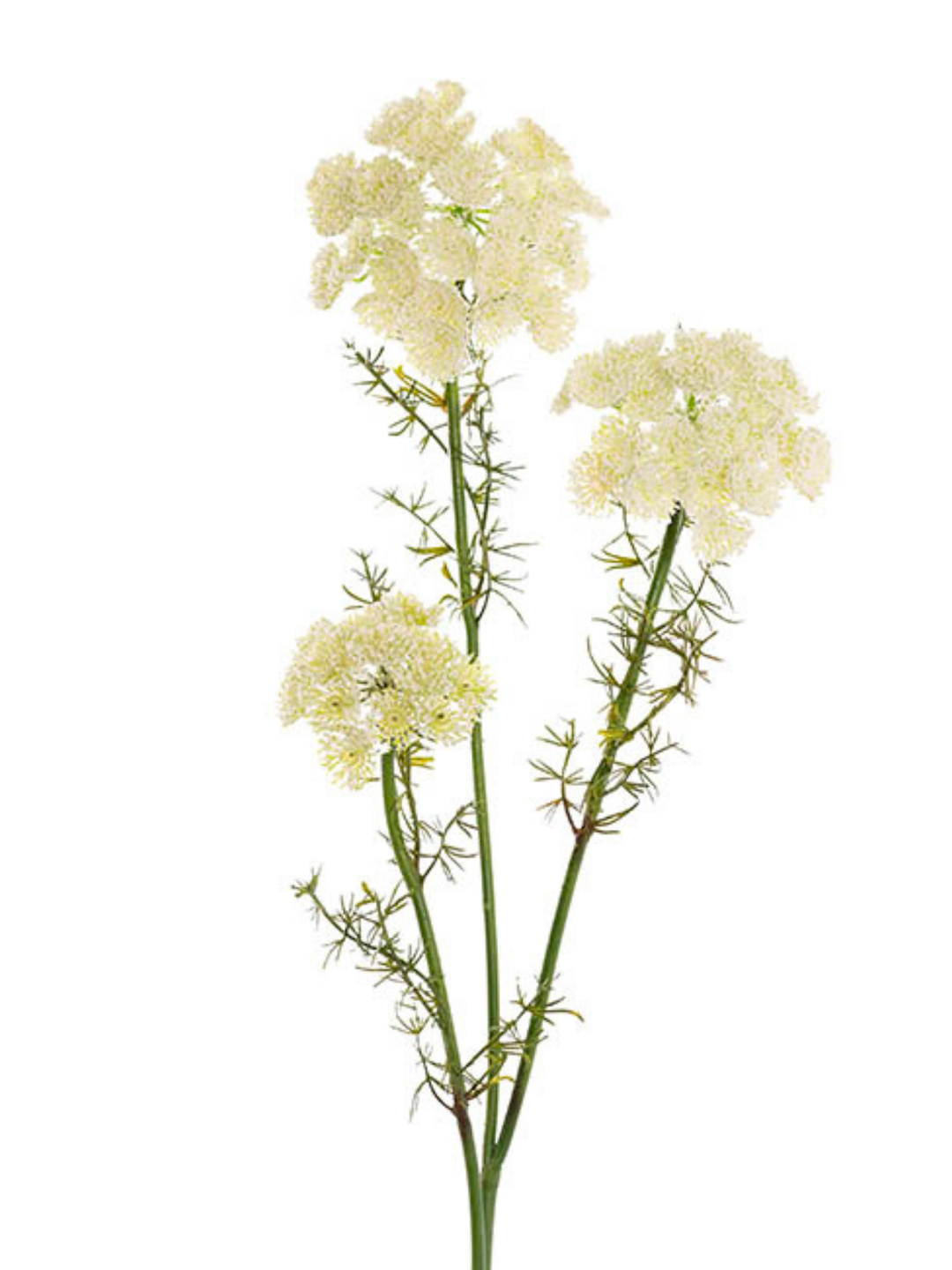 Lace Flower Spray White (73cmH) Pack of 1