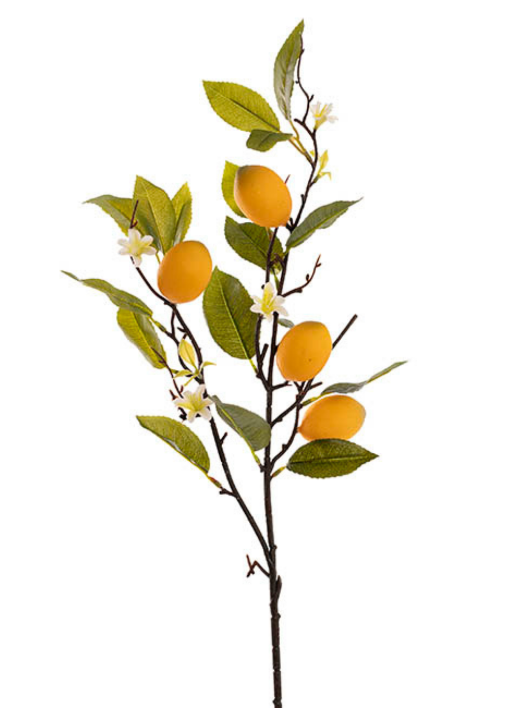 Lemon w Flower Bud Spray Yellow (60cmH) Pack of 1