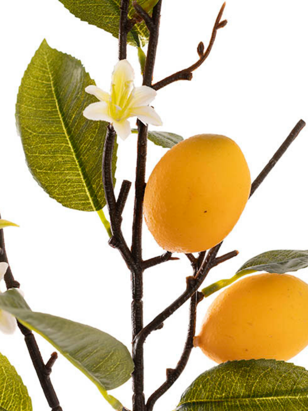 Lemon w Flower Bud Spray Yellow (60cmH) Pack of 1