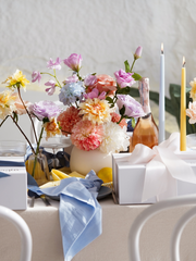 Sky Napkins