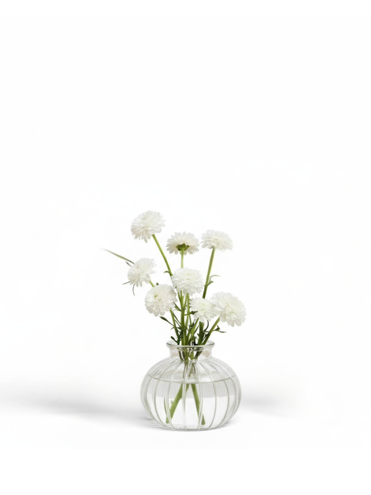 Clear Eleanor Glass Bud Vase