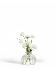Clear Eleanor Glass Bud Vase