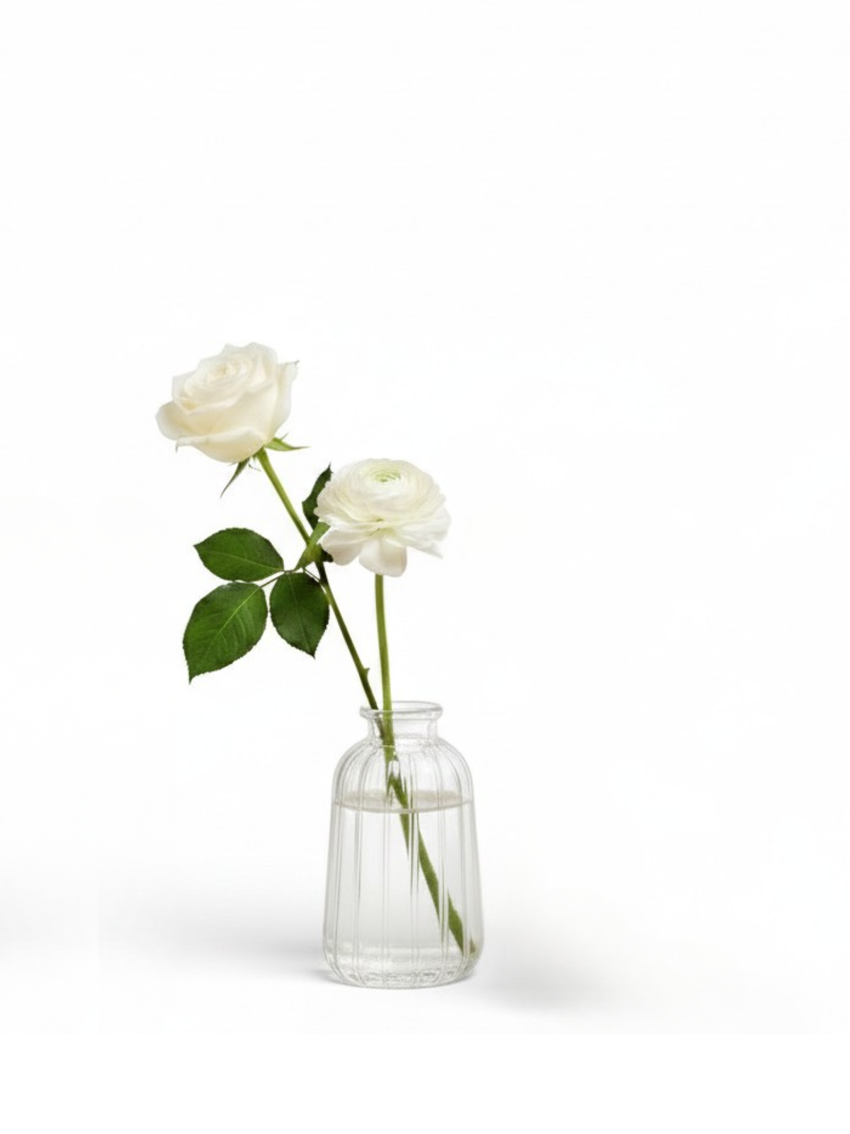 Clear Isabella Glass Bud Vase